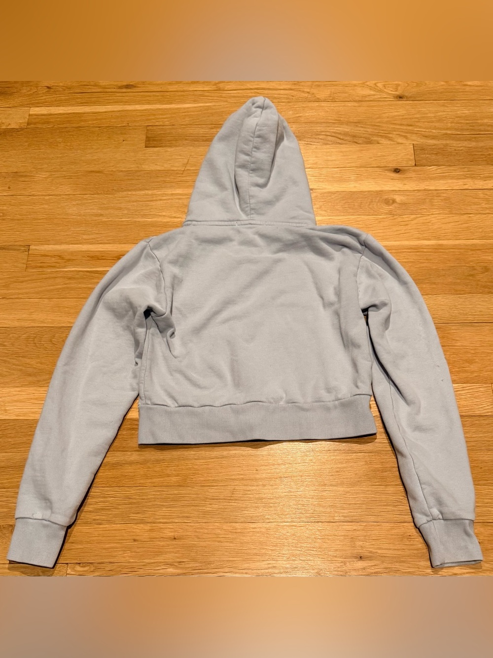 Brandy Melville Crystal Cropped Hoodie - Picture 4 of 4